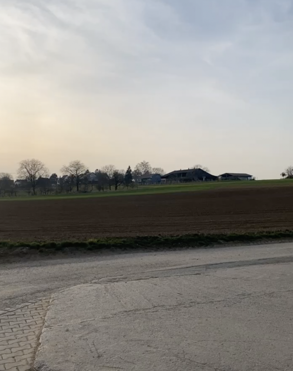 Bild eines Feldes.